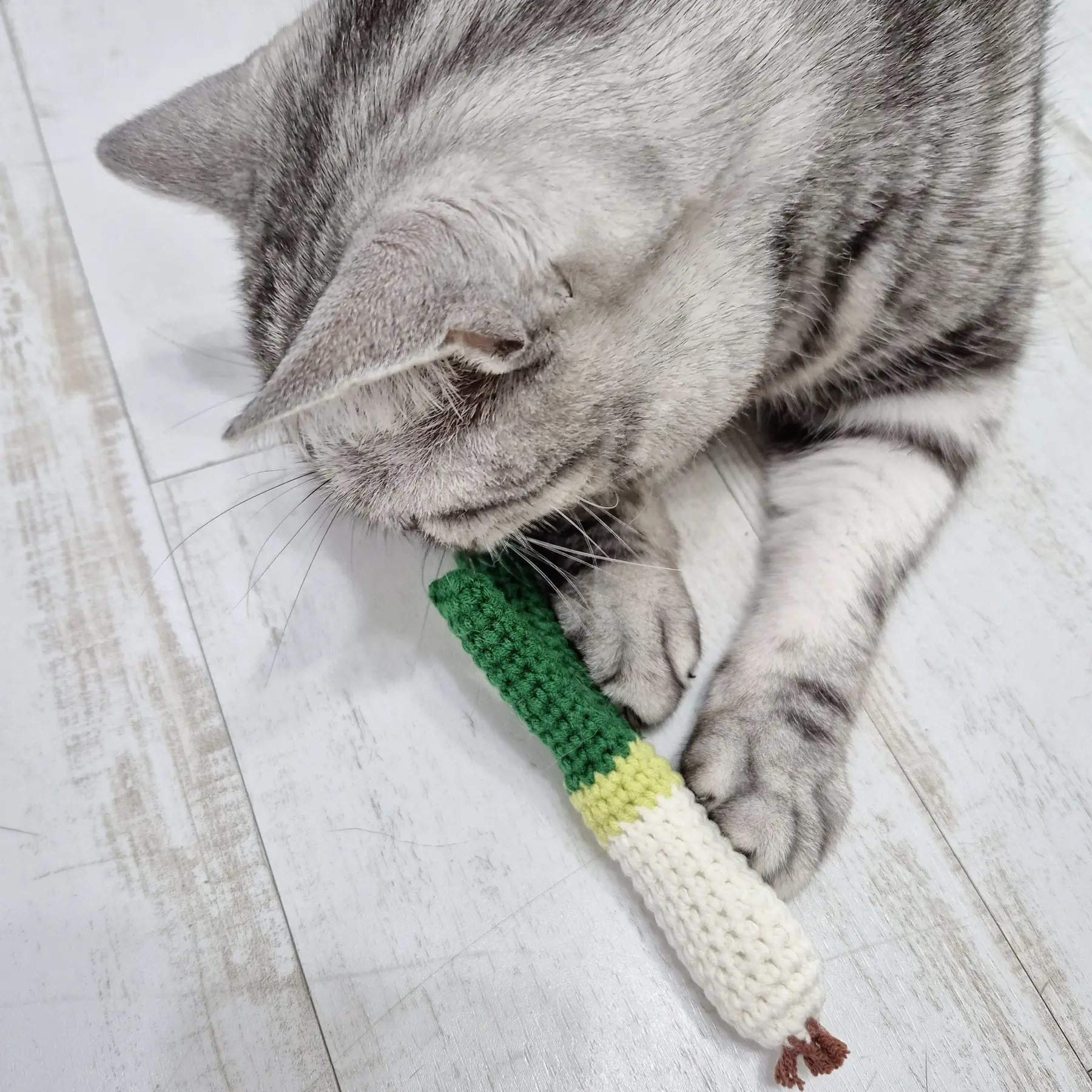 손뜨개 대파 인형을 끌어안은 고양이